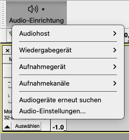 Screenshot 3: Einrichten der Audios